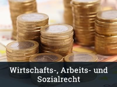 Wirtschafts-, Arbeits- und Sozialrecht